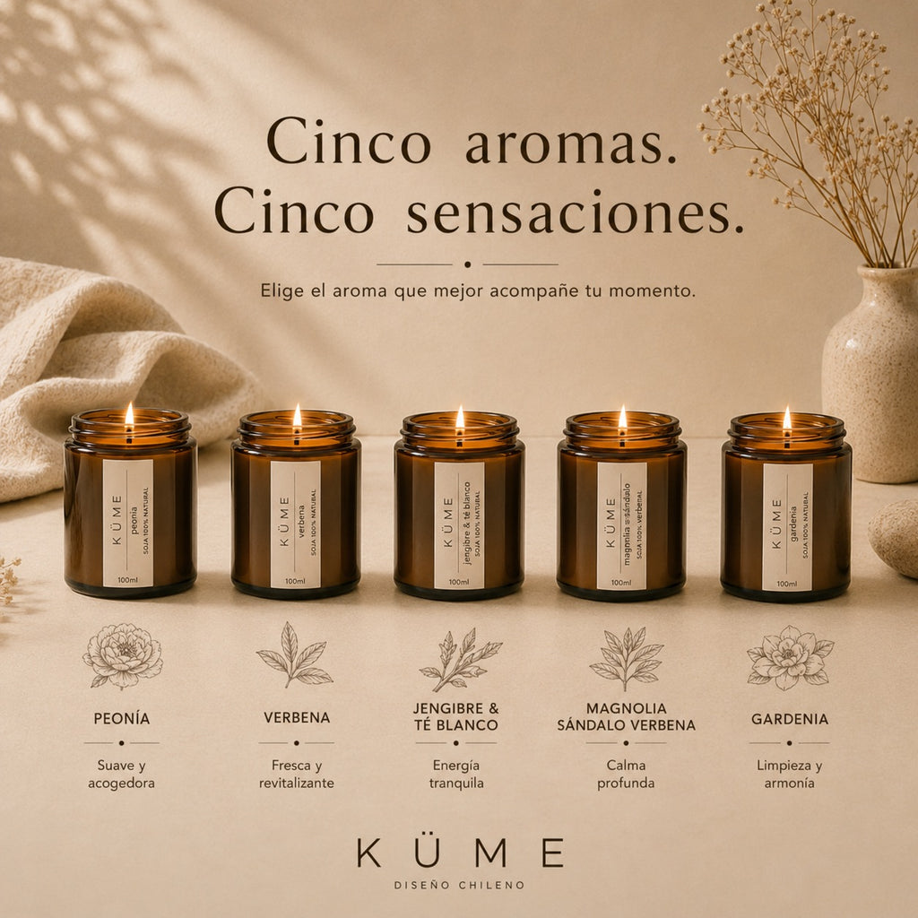Pack velas de soja 100ml